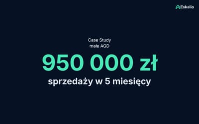 Jak uporządkowanie konta i Allegro Ads przełożyło się na 950 000 zł sprzedaży